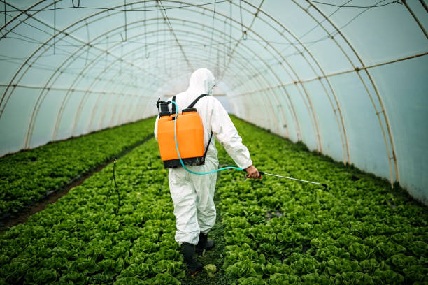 Best Local Pest Control Services  in Highland Lakes, NJ