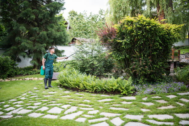 Trusted Highland Lakes, NJ Pest Control Experts