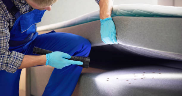Best Rat Extermination Near Me  in Highland Lakes, NJ