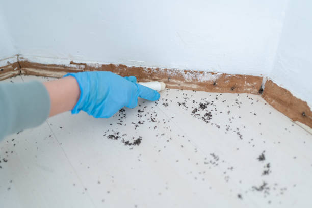 Best Pest Control Treatment  in Highland Lakes, NJ